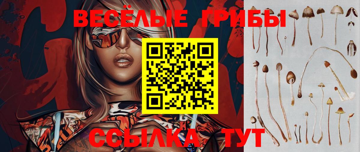 Галлюциногенные грибы прущие грибы  Вход с VPN  Шебекино  Галлюциногенные грибы Psilocybine cubensis 